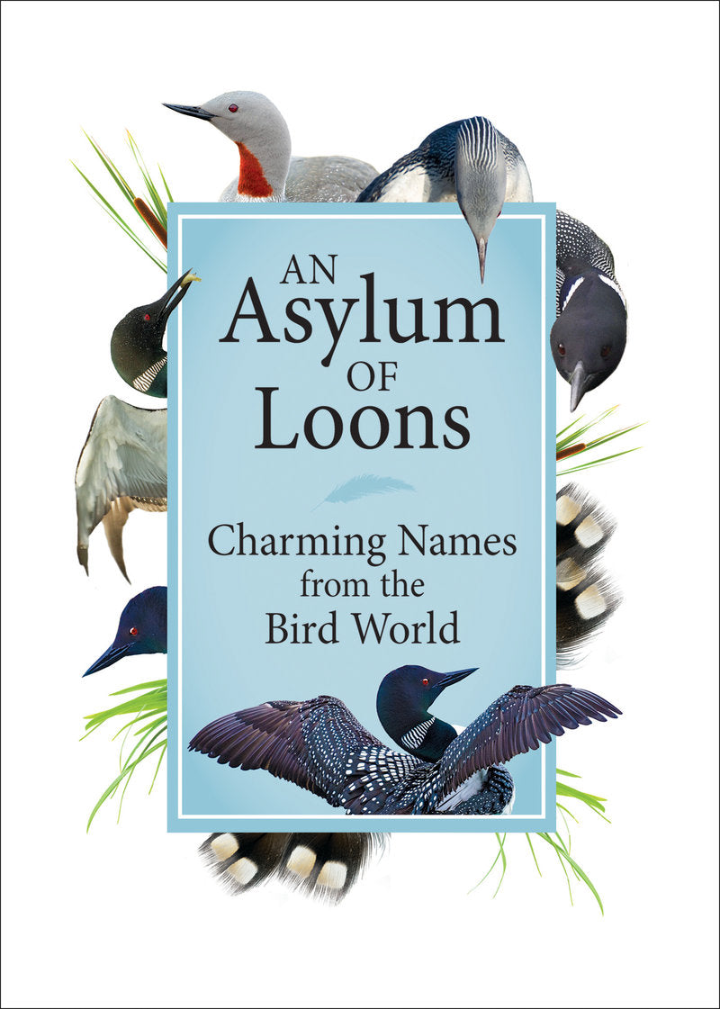 <em>An Asylum of Loons</em>