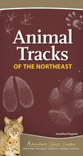 Charger l&#39;image dans la galerie, &lt;em&gt;Animal Tracks of the Northeast&lt;/em&gt;
