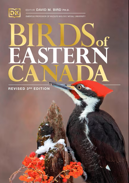 <em>Birds of Eastern Canada</em>