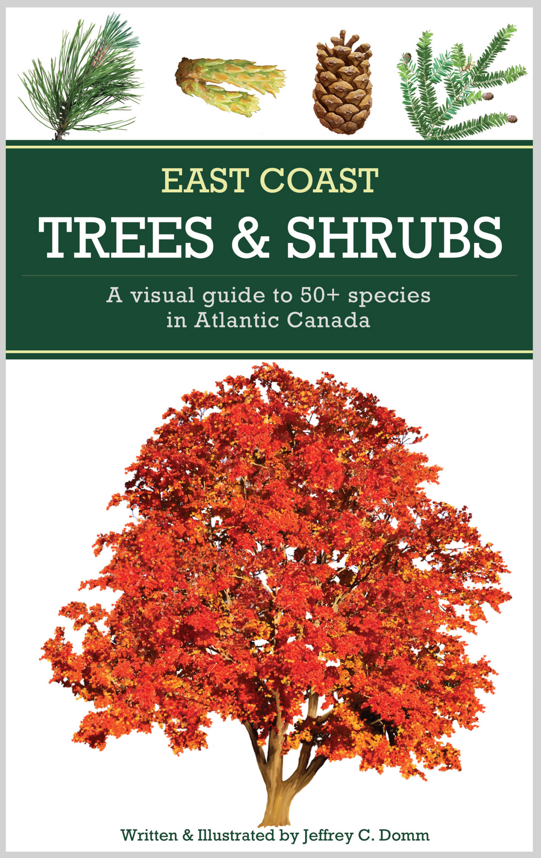 East Coast Trees & Shrubs