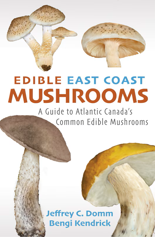 Edible East Coast Mushrooms