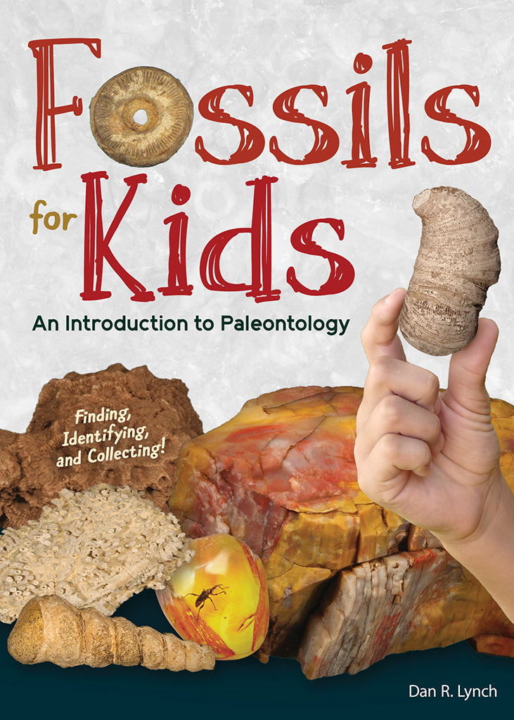 <em>Fossils for Kids</em>