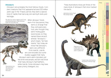 Load image into Gallery viewer, Fossils for Kids
