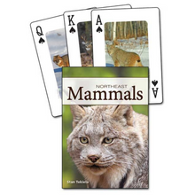 Load image into Gallery viewer, Mammals of the Northeast Playing Cards
