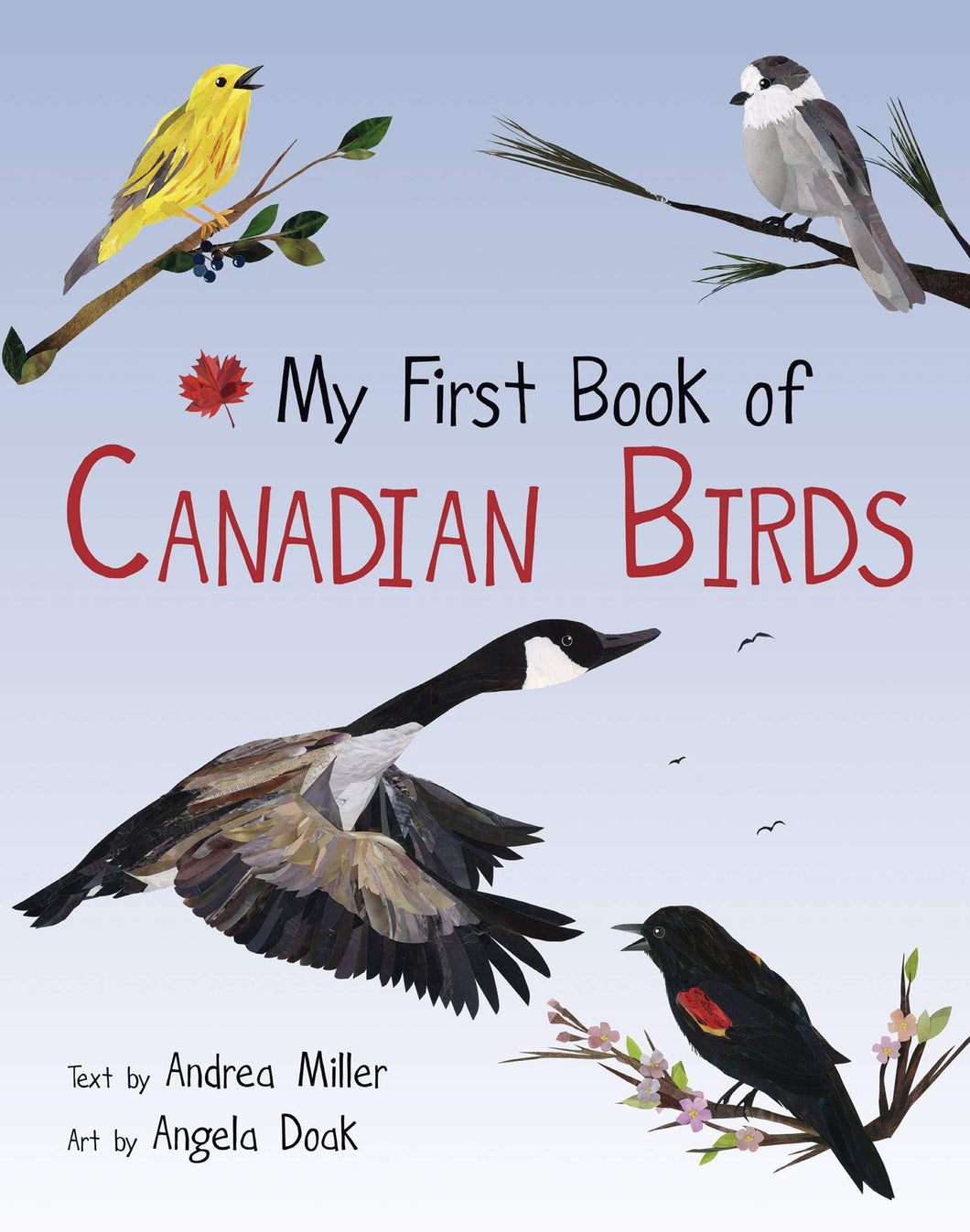 <em>My First Book of Canadian Birds</em>