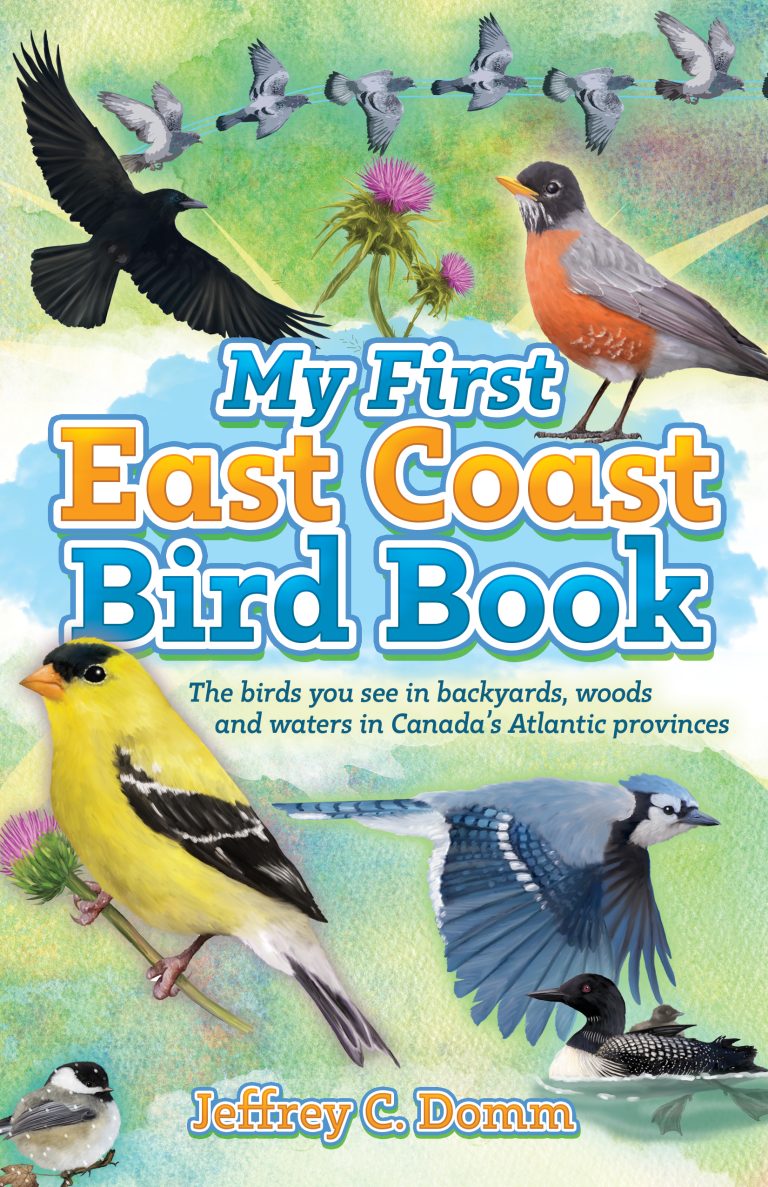 <em>My First East Coast Bird Book</em>