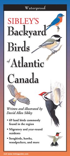 <em>Sibley’s Backyard Birds of Atlantic Canada</em>