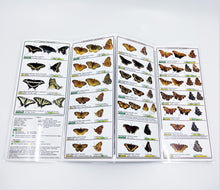Load image into Gallery viewer, A Pocket Guide to the Butterflies of the Maritimes
