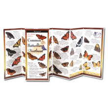 Charger l&#39;image dans la galerie, Guide &lt;em&gt;Common Butterflies of the Northeast&lt;/em&gt;
