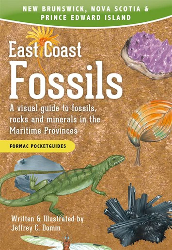 East Coast Fossils