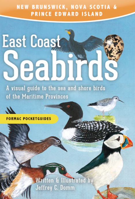 <em>East Coast Seabirds</em>