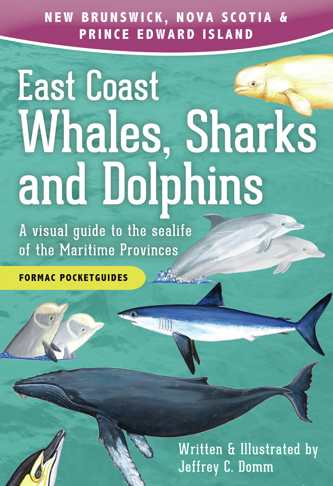 <em>East Coast Whales, Sharks and Dolphins</em>