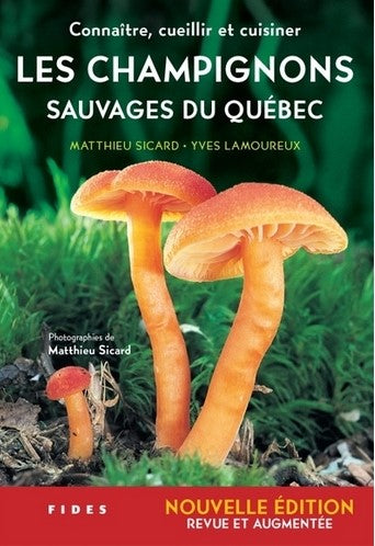 Les champignons sauvages du Québec