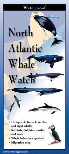 <em>North Atlantic Whale Watch</em>