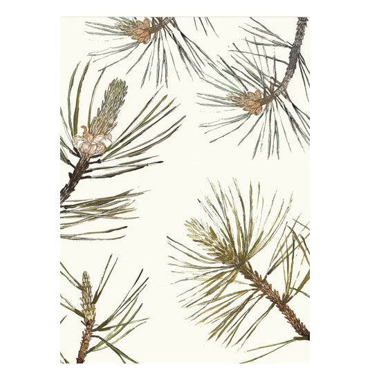 Carte <em>Painted Pine</em>