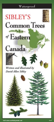 <em>Sibley’s Common Trees of Eastern Canada</em>