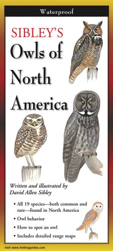 <em>Sibley's Owls of North America</em>