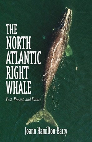 <em>The North Atlantic Right Whale</em>